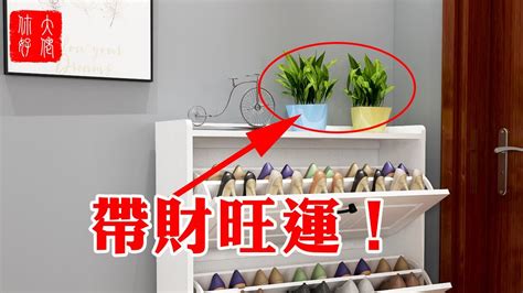 鞋櫃上放植物